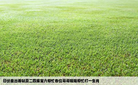 日伏夜出善钻洞二四摇宝六帮忙各位哥哥姐姐帮忙打一生肖