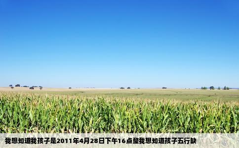 我想知道我孩子是2011年4月28日下午16点整我想知道孩子五行缺