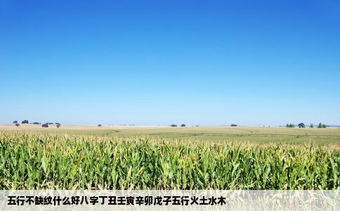 五行不缺纹什么好八字丁丑壬寅辛卯戊子五行火土水木