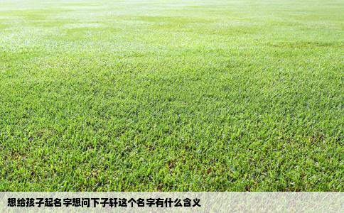 想给孩子起名字想问下子轩这个名字有什么含义