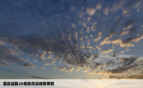 算命说我20有桃花运啥意思啊