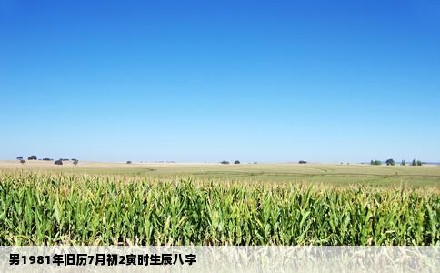 男1981年旧历7月初2寅时生辰八字