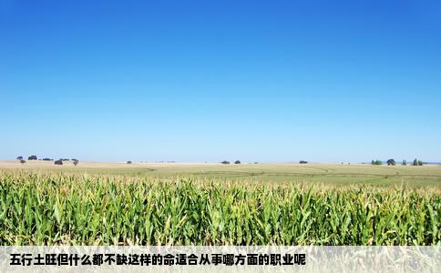 五行土旺但什么都不缺这样的命适合从事哪方面的职业呢