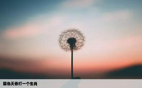 国色天香打一个生肖