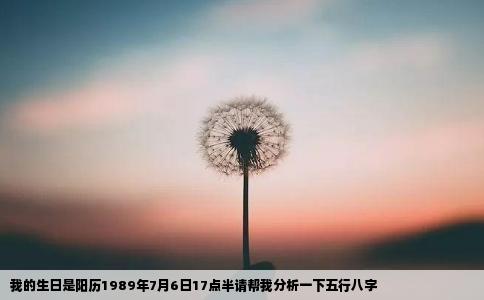 我的生日是阳历1989年7月6日17点半请帮我分析一下五行八字