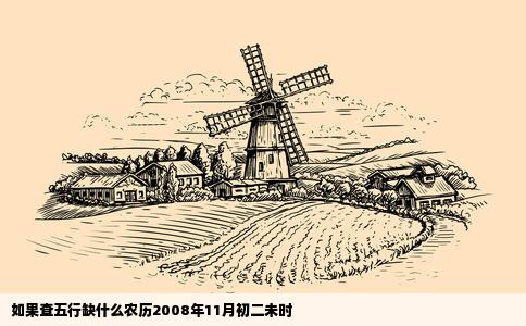 如果查五行缺什么农历2008年11月初二未时