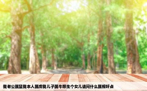 我老公属鼠我本人属虎我儿子属牛想生个女儿请问什么属相好点