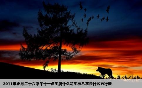 2011年正月二十六中午十一点生属什么命生辰八字是什么五行缺