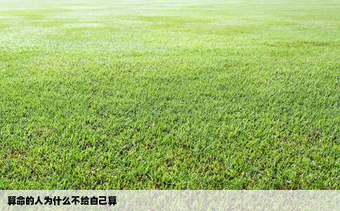 算命的人为什么不给自己算