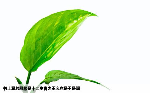 书上写着麒麟是十二生肖之王究竟是不是呢
