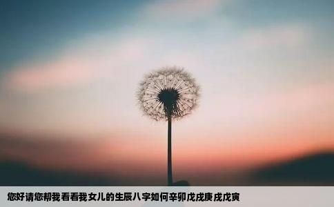 您好请您帮我看看我女儿的生辰八字如何辛卯戊戌庚戌戊寅