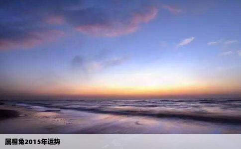 属相兔2015年运势