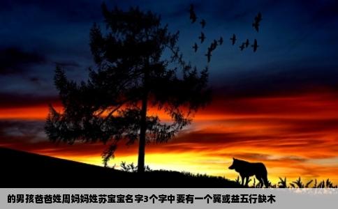 的男孩爸爸姓周妈妈姓苏宝宝名字3个字中要有一个翼或益五行缺木