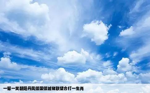 一颦一笑朝阳丹凤倾国倾城猪联璧合打一生肖