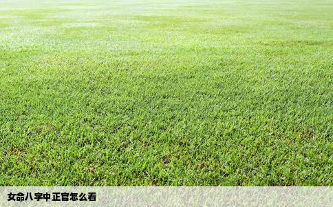 女命八字中正官怎么看