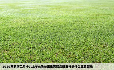 2020年农历二月十九上午8点55出生男孩命理五行缺什么取名禁忌