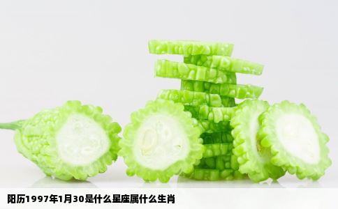 阳历1997年1月30是什么星座属什么生肖