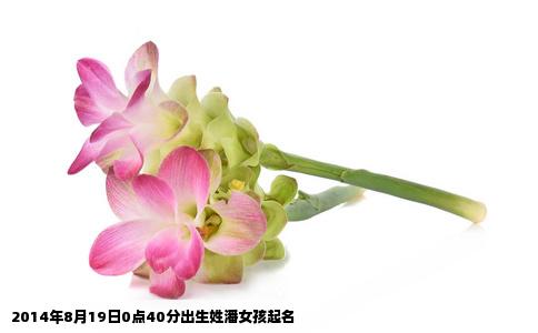 2014年8月19日0点40分出生姓潘女孩起名