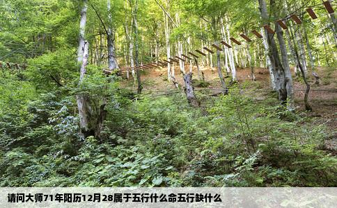 请问大师71年阳历12月28属于五行什么命五行缺什么