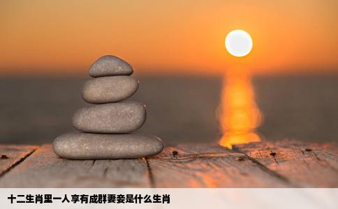 十二生肖里一人享有成群妻妾是什么生肖