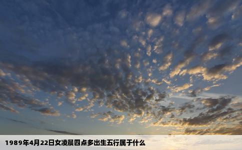 1989年4月22日女凌晨四点多出生五行属于什么