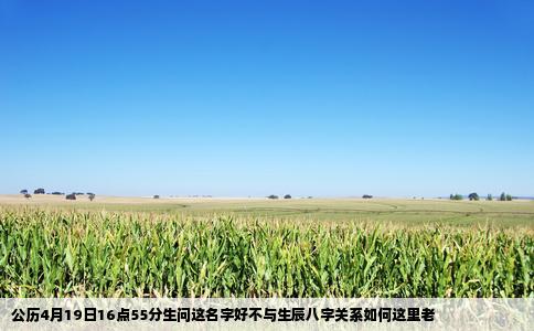 公历4月19日16点55分生问这名字好不与生辰八字关系如何这里老
