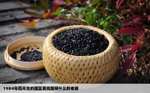 1984年四月生的属鼠要找属相什么的老婆