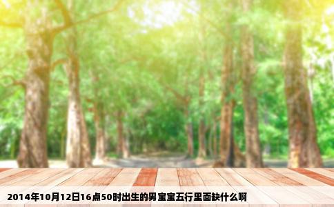 2014年10月12日16点50时出生的男宝宝五行里面缺什么啊