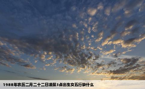 1988年农历二月二十二日凌晨3点出生女五行缺什么