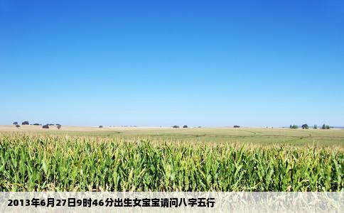 2013年6月27日9时46分出生女宝宝请问八字五行