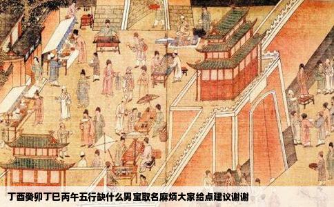 丁酉癸卯丁巳丙午五行缺什么男宝取名麻烦大家给点建议谢谢