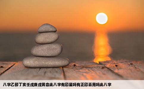 八字乙卯丁亥壬戌庚戌男命此八字有印星吗有正印喜用吗此八字