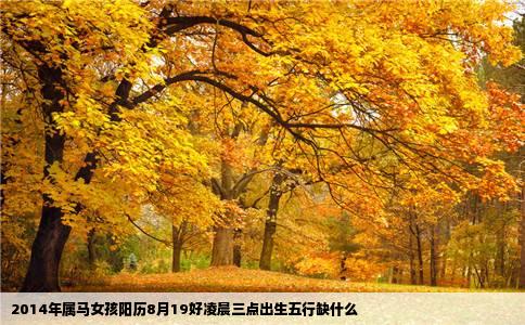 2014年属马女孩阳历8月19好凌晨三点出生五行缺什么