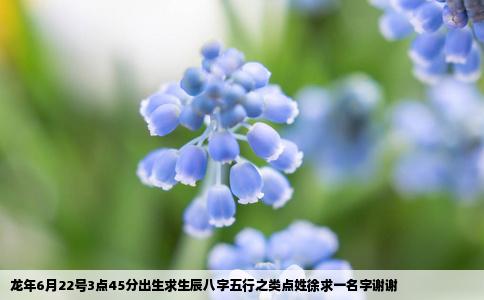 龙年6月22号3点45分出生求生辰八字五行之类点姓徐求一名字谢谢