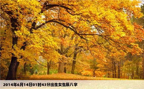 2014年6月14日01时43分出生女生辰八字