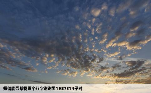 师傅能否帮我看个八字谢谢男1987314子时