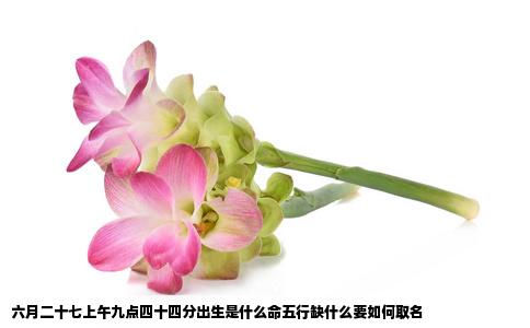 六月二十七上午九点四十四分出生是什么命五行缺什么要如何取名