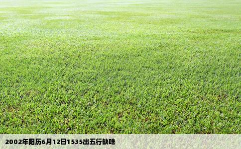 2002年阳历6月12日1535出五行缺啥