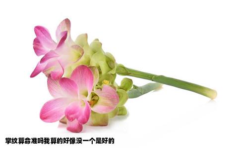 掌纹算命准吗我算的好像没一个是好的