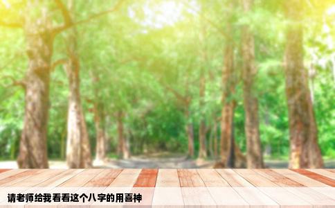 请老师给我看看这个八字的用喜神