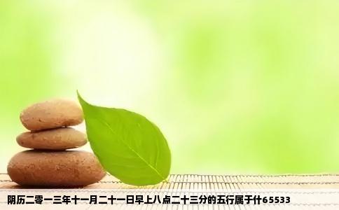 阴历二零一三年十一月二十一日早上八点二十三分的五行属于什65533