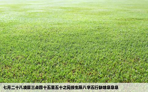 七月二十八凌晨三点四十五至五十之间按生辰八字五行缺啥急急急