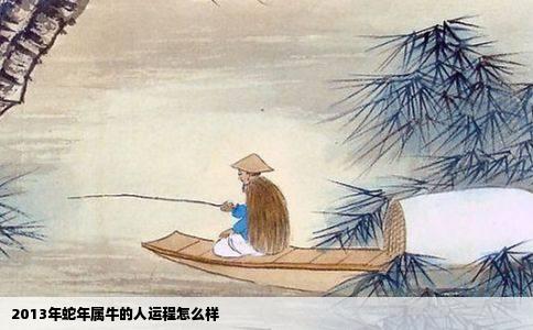 2013年蛇年属牛的人运程怎么样