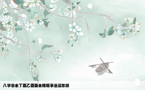 八字辛未丁酉乙酉葵未婚姻事业运怎样