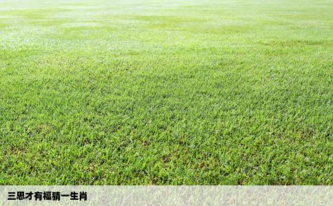 三思才有福猜一生肖