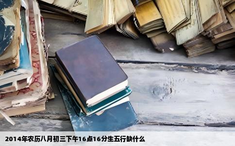2014年农历八月初三下午16点16分生五行缺什么