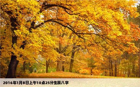 2016年1月8日上午10点25分生辰八字