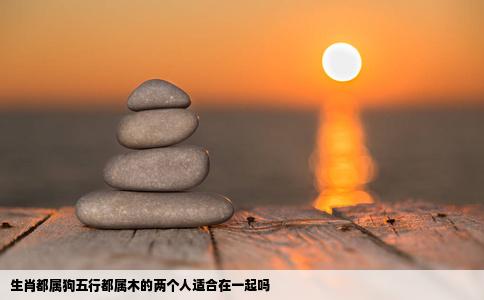 生肖都属狗五行都属木的两个人适合在一起吗