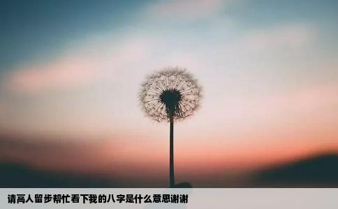 请高人留步帮忙看下我的八字是什么意思谢谢