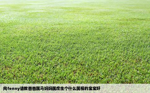 向fenny请教爸爸属马妈妈属虎生个什么属相的宝宝好